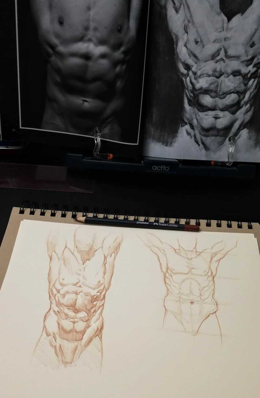 Torso Study With References